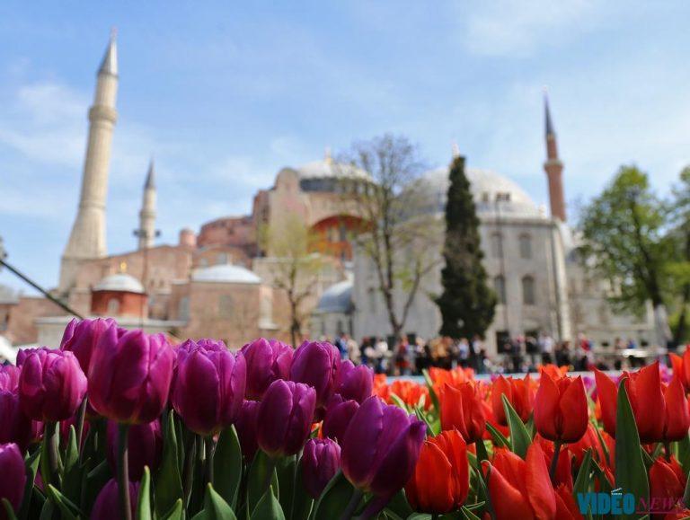 turki tulip festival Tour Ke Turki 2024